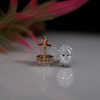 Elegant Oval Halo Lab Grown Diamond Stud Earrings, Timeless Brilliance