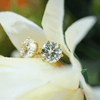 Solitaire Round Brilliant Cut CVD Diamond Ear Studs