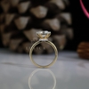 2.83 carat IGI Certified Solitaire Round Diamond Ring With Hidden Halo