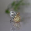 Heart Shape Yellow & White Lab Grown Diamond Ring | Double Halo 14K Gold Ring
