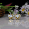 0.81 ct Each E VS1 IGI Round Fancy Lab Made Diamond Earring
