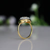 2 carat E VVS2 IGI Certified Round Lab Diamond With Halo Engagement Ring