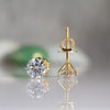 5 Prong 1.07CT Solitaire Lab Grown Diamond Stud