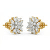 Beautiful Mix shape Lab Grown Diamond Earrings - 18kt Gold
