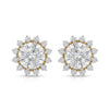 Shiny Solitaire Lab Diamond Earrings - 18kt Gold