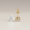 Beautiful Solitaire Lab Grown Diamond Stud-18KT Yellow Gold