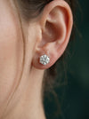 1.88 ct Each D VVS1 IGI Round Shape Solitaire Lab Made Diamond Stud