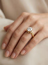 Lab Created Regal Bloom Solitaire Ring