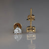 Heart Shape Lab Grown Diamond Stud Earrings in 14K Yellow Gold | Minimal  Everyday Jewelry