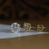 Beautiful Solitaire Lab Grown Diamond Stud-18KT Yellow Gold